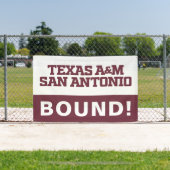 Texas A&M San Antonio Banner (InSitu)