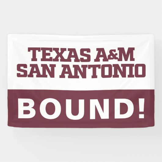 Texas A&M San Antonio Banner (Horizontal)