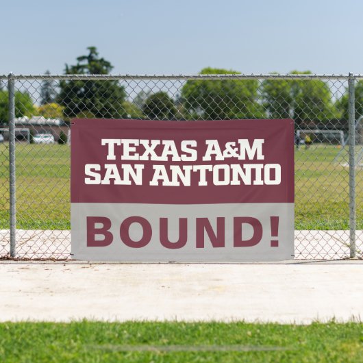 Texas A&M San Antonio Banner (InSitu)