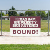 Texas A&M University - San Antonio Banner (InSitu)