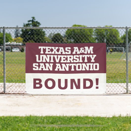 Texas A&M University - San Antonio Banner (InSitu)