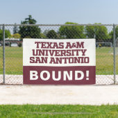 Texas A&M University - San Antonio Banner (InSitu)