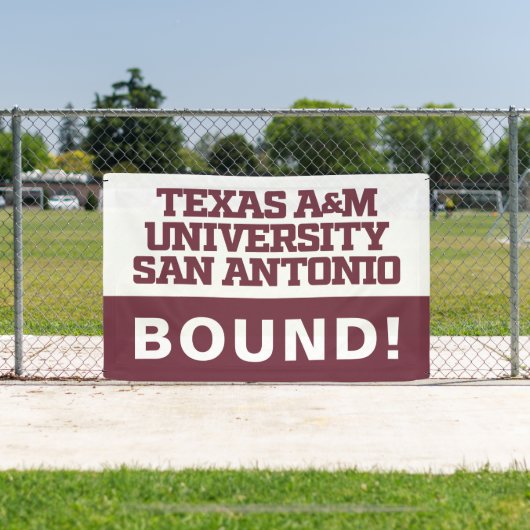 Texas A&M University - San Antonio Banner (InSitu)