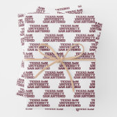 Texas A&M University - San Antonio Geschenkpapier Set (Beispiel)