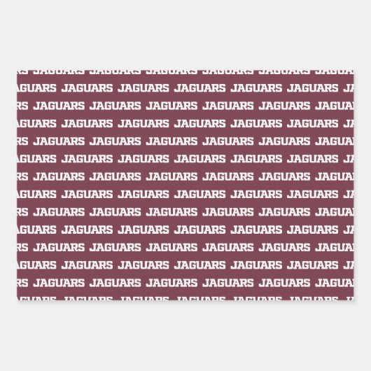 Texas A&M University - San Antonio Jaguars Geschenkpapier Set (Vorderseite 2)