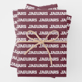Texas A&M University - San Antonio Jaguars Geschenkpapier Set (Beispiel)