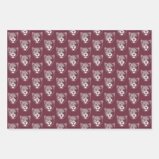Texas A&M University - San Antonio | Jaguars Geschenkpapier Set (Vorderseite 3)