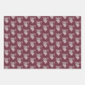 Texas A&M University - San Antonio | Jaguars Geschenkpapier Set (Vorderseite)