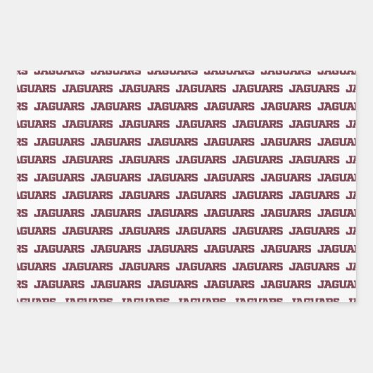Texas A&M University - San Antonio Jaguars Geschenkpapier Set (Vorderseite 2)