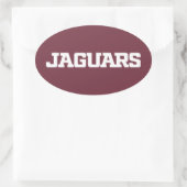 Texas A&M University - San Antonio Jaguars Ovaler Aufkleber (Tasche)