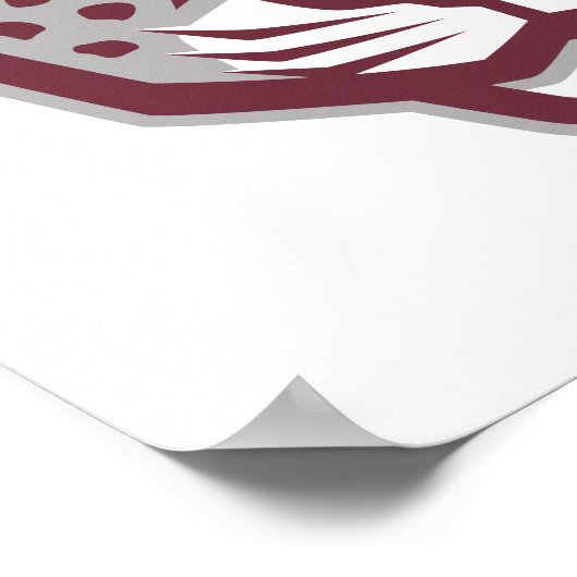 Texas A&M University - San Antonio | Jaguars Poster (Ecke)