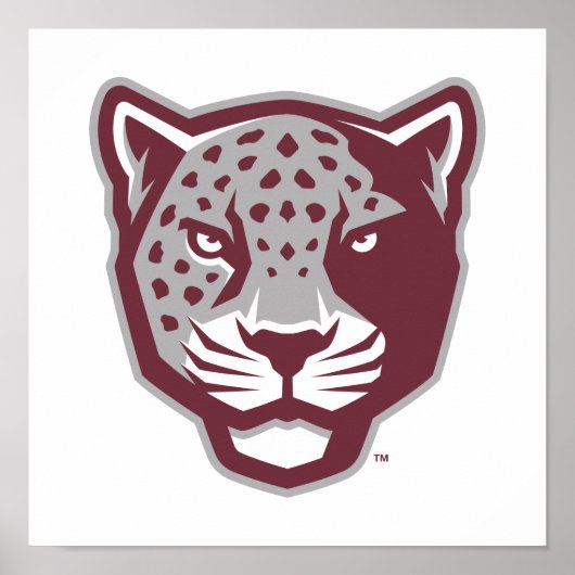 Texas A&M University - San Antonio | Jaguars Poster (Vorne)