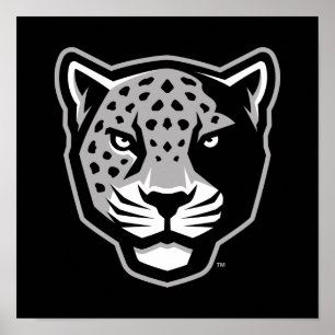 Texas A&M University - San Antonio Jaguars Poster