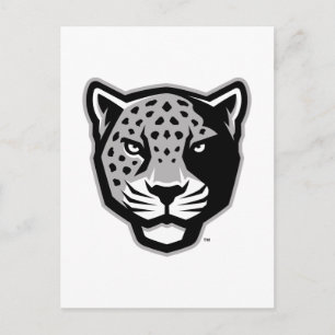 Texas A&M University - San Antonio   Jaguars Postkarte