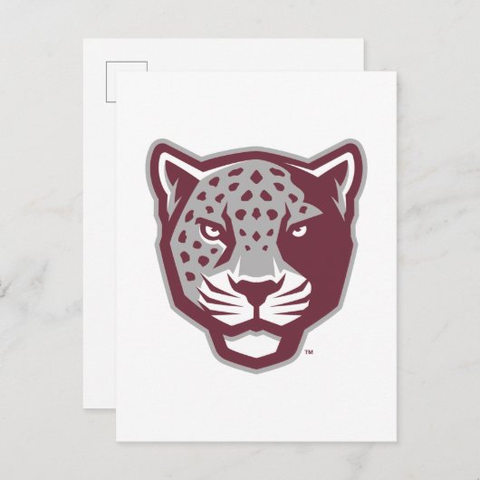 Texas A&M University - San Antonio | Jaguars Postkarte (Vorne/Hinten)