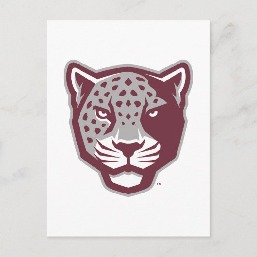Texas A&M University - San Antonio | Jaguars Postkarte (Vorderseite)