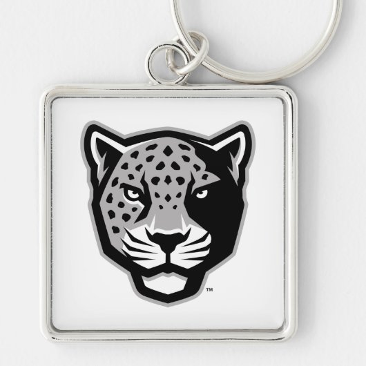 Texas A&M University - San Antonio | Jaguars Schlüsselanhänger (Vorne)