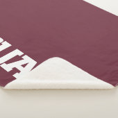 Texas A&M University - San Antonio Jaguars Sherpadecke (3/4)