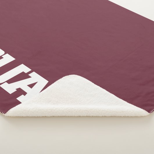 Texas A&M University - San Antonio Jaguars Sherpadecke (3/4)