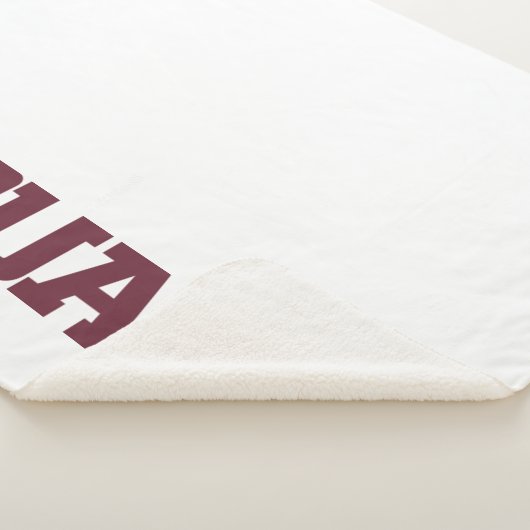 Texas A&M University - San Antonio Jaguars Sherpadecke (3/4)