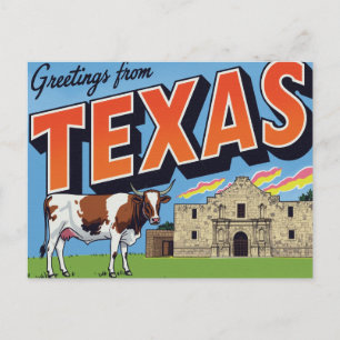 Texas Alamo Longhorn Grüße Postkarte