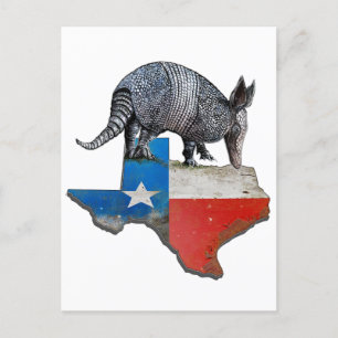 Texas Armadillo Postkarte