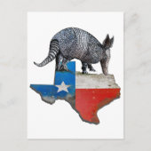 Texas Armadillo Postkarte (Vorderseite)