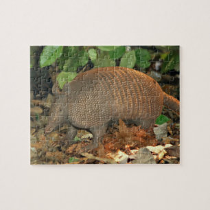 Texas Armadillo Puzzle