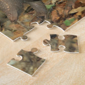 Texas Armadillo Puzzle (Seite)
