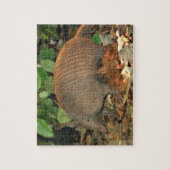 Texas Armadillo Puzzle (Vertikal)