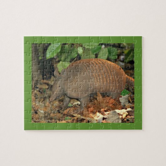 Texas Armadillo Puzzle (Horizontal)