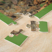 Texas Armadillo Puzzle (Seite)