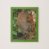 Texas Armadillo Puzzle (Vertikal)