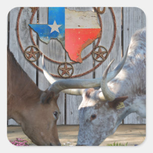 Texas Barn Art Quadratischer Aufkleber
