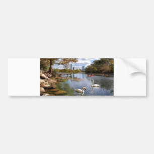 Texas Barton Creek / Ladybird Lake Swans Autoaufkleber