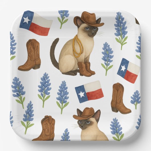 Texas Birthday Themed for Cat Lovers  Pappteller (Vorderseite)
