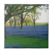 Texas-Blau-Mützen Fliese (Vorderseite)