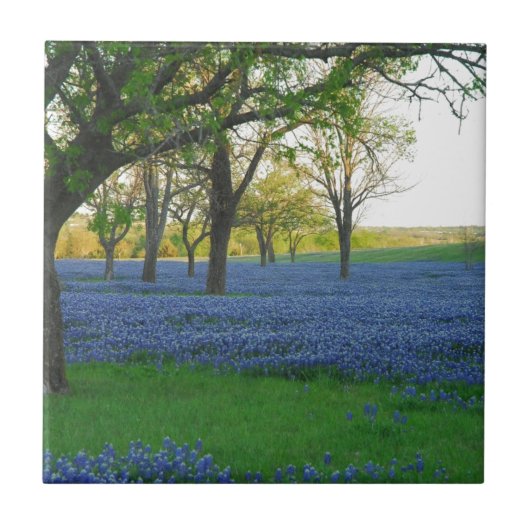 Texas-Blau-Mützen Fliese (Vorderseite)