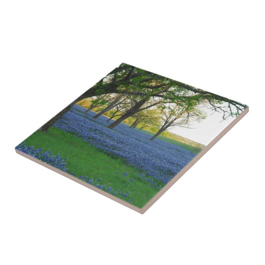 Texas-Blau-Mützen Fliese (Seite)