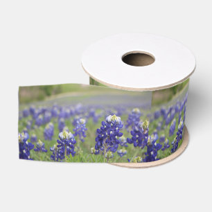 Texas Blaue Hauben Blaue Blumen Texanisch Floral Ripsband