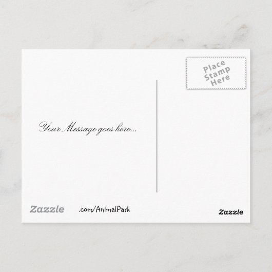 Texas Blind Salamander Postkarte (Rückseite)