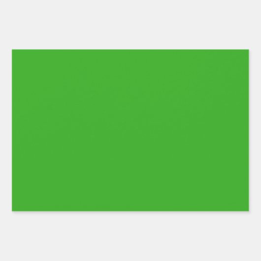 Texas Blue Bonnet Blitz Design Geschenkpapier Set (Vorderseite 2)