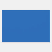 Texas Blue Bonnet Blitz Design-Sky Blue Green Geschenkpapier Set (Vorderseite 3)