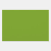 Texas Blue Bonnet Blitz Design-Sky Blue Green Geschenkpapier Set (Vorderseite 2)