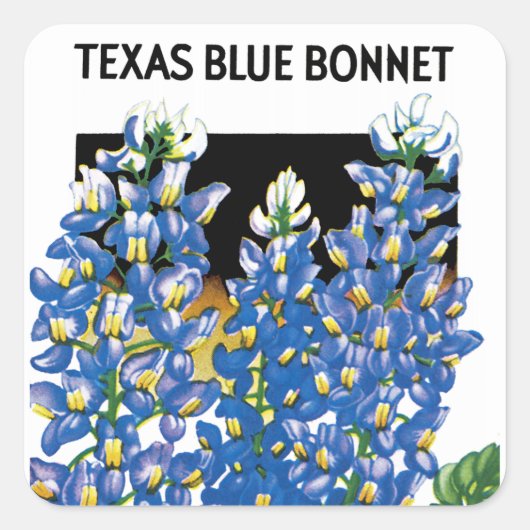 Texas Blue Bonnet Saatpacketikett Quadratischer Aufkleber (Vorderseite)