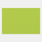 Texas Blue koordiniert mit Green Solid Geschenkpapier Set (Vorderseite 3)