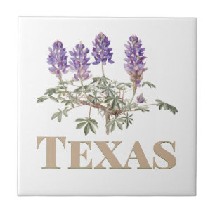 Texas Bluebonnet 2 Fliese