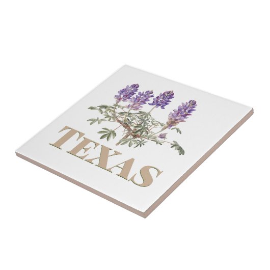 Texas Bluebonnet 2 Fliese (Seite)