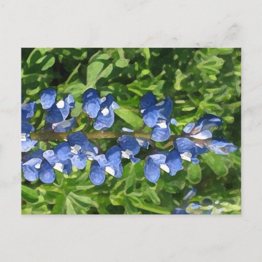 Texas Bluebonnet Artistic Foto Postkarte (Vorderseite)