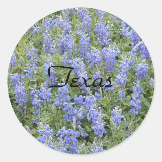 Texas Bluebonnet Aufkleber (Vorderseite)
